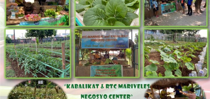 Narrative Report: Negosyo Center - Kabalikat